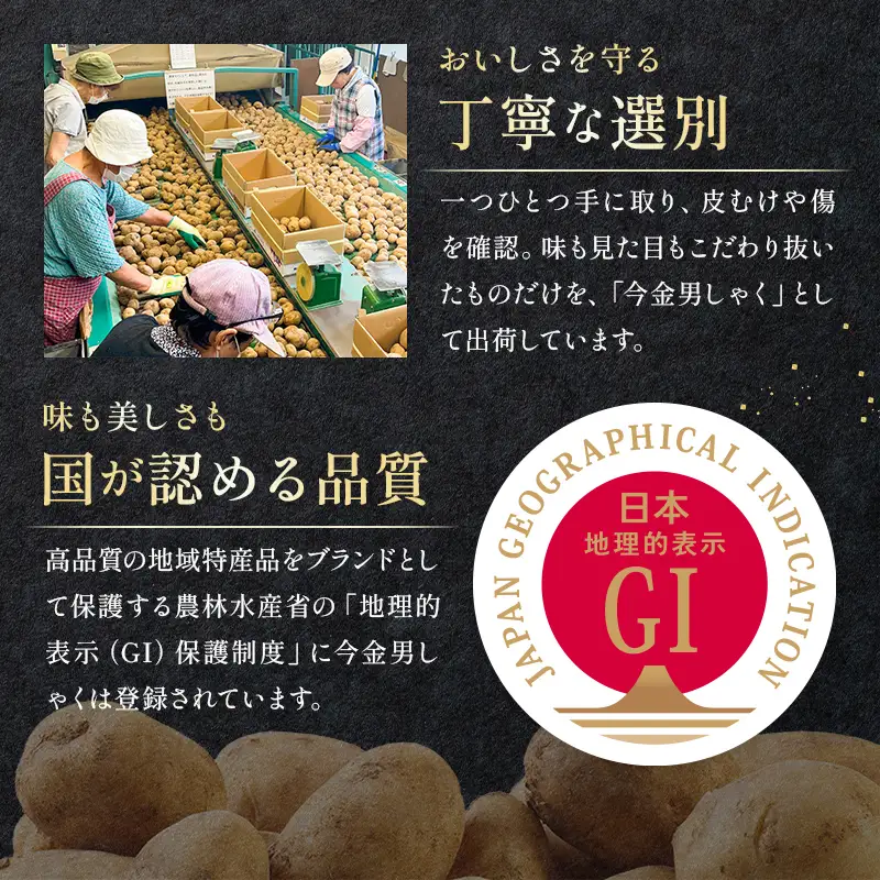 今金男しゃく ポテトチップス 味くらべセット(うすしお味1箱＋のり塩1箱) 北海道 男爵 だんしゃく じゃがいも 芋 湖池屋 コイケヤ 限定 ポテチ お菓子 駄菓子 スナック F21X-770