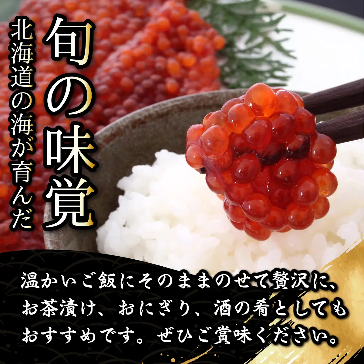 【数量限定】秋鮭 汐すじこ 500g ABBI017｜すじこ 魚卵 海鮮 おかず おにぎりの具 贈答 ギフト 人気 北海道 網走市