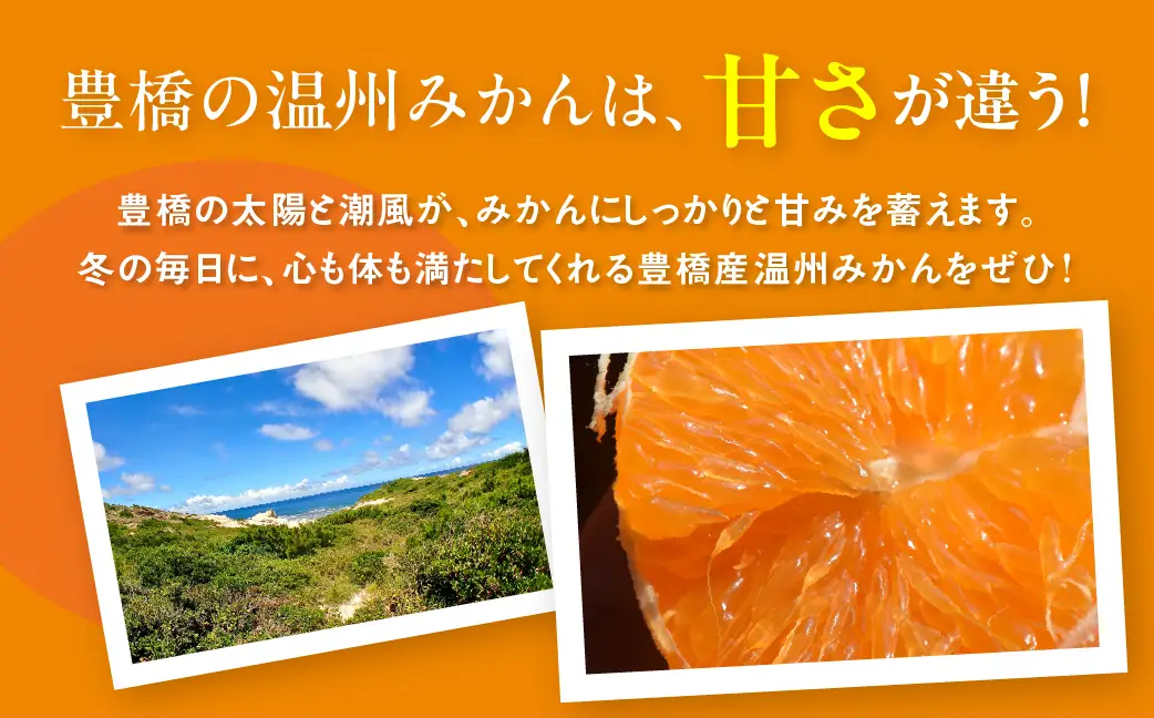 温州みかん ご家庭用 8kg 訳あり