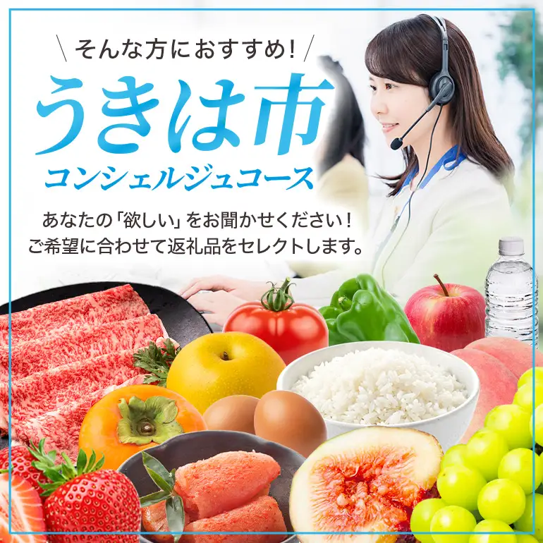 あなたの希望に合わせてセレクト！うきは市コンシェルジュコース100万円 A12-004
