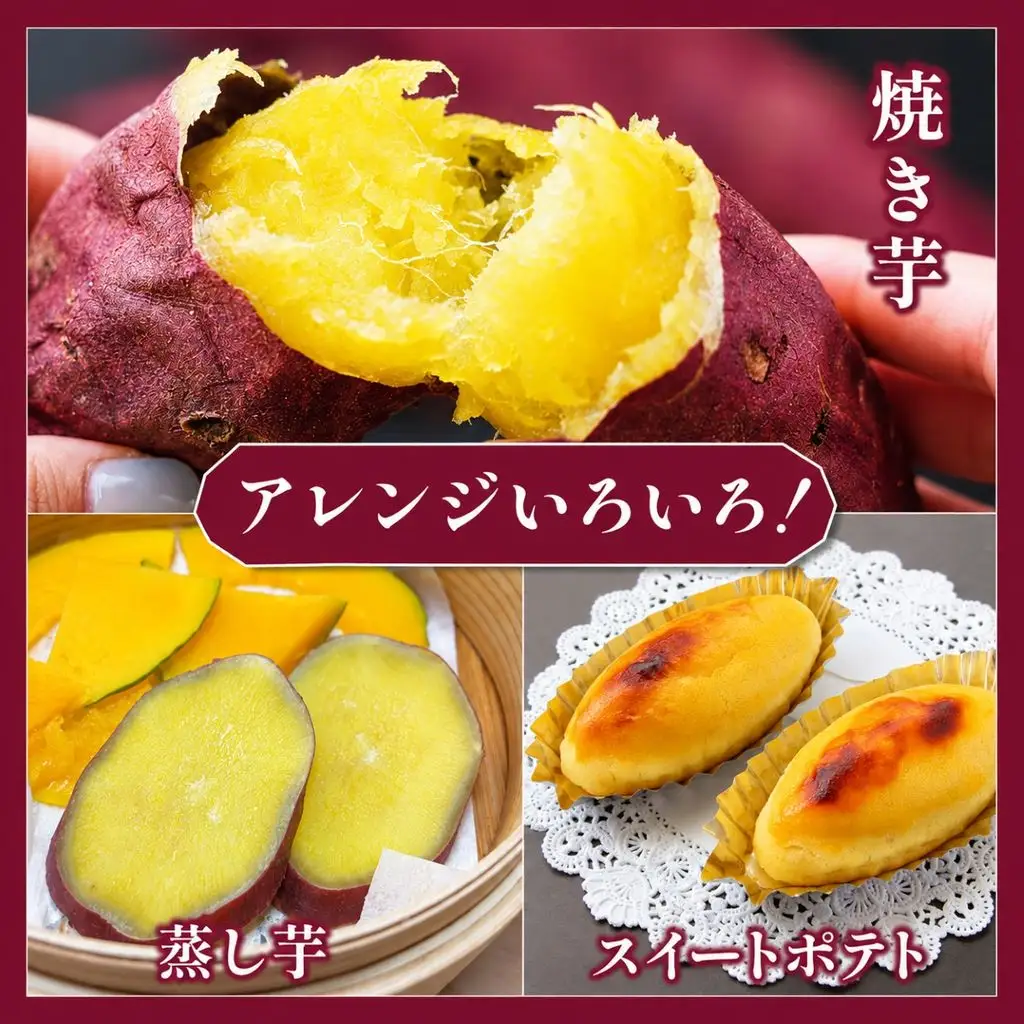 【先行受付】訳あり 紅はるか 無選別 約5kg 栃木県 茂木町