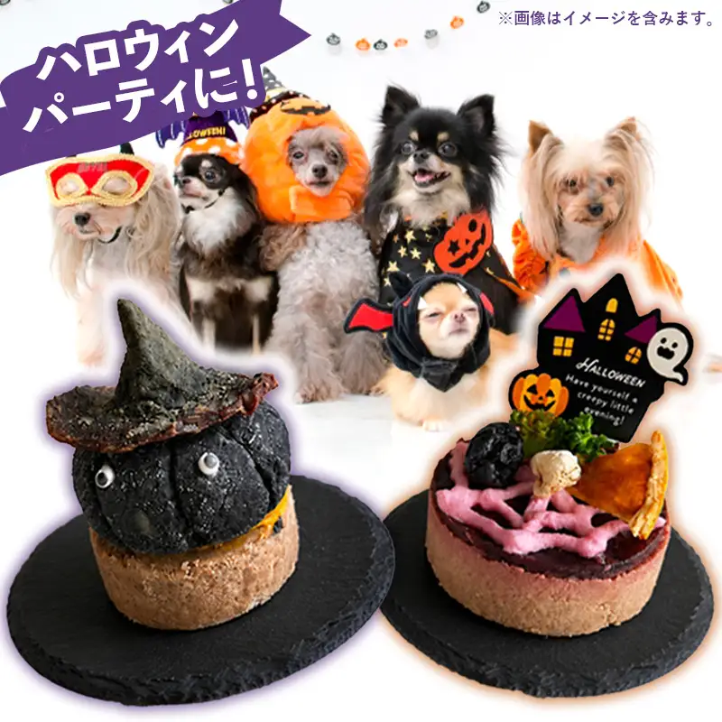 ハロウィンスイーツ 2個セット 犬用ケーキ【ペットフード ペット 動物 犬 餌 エサ 小型犬 愛犬 愛犬家 愛犬用 おやつ デザート 手作り ケーキ 健康 おやつ 犬用 ペット用 ご褒美 ハロウィン 福岡県 筑前町 ふるさと納税 冷凍 送料無料 CH024】