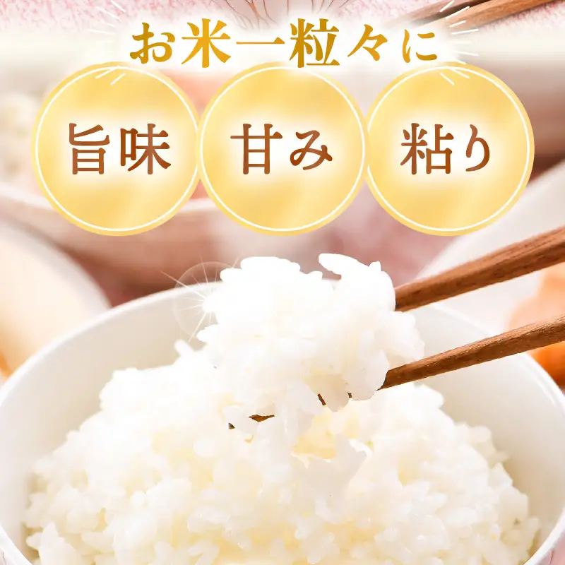 【先行予約】【令和8年産】慣行栽培 ゆうだい21 白米 10kg / 米 福井県 精米 あわら市産 ※2026年10月下旬より順次発送予定 [aw038-b001]