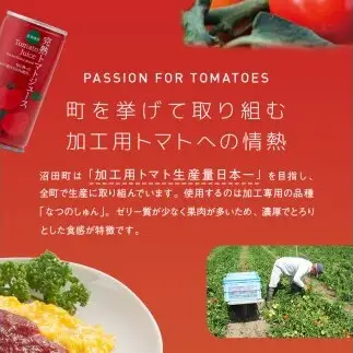 プレミアムトマトケチャップ 2本（320g瓶）北海道産 トマト 国産 無添加 濃厚 食べるケチャップ 高級調味料 調味料 加工品 お取り寄せ ギフト プレゼント 贈り物 沼田町 北海道 n-0227