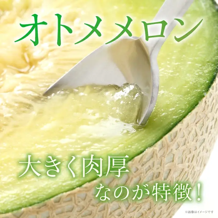 オトメメロン 緑肉 2玉 計3kg～5kg メロン めろん 