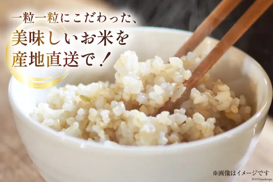 米 令和8年産 こしひかり 玄米 10kg 【3ヶ月定期便】 計30kg