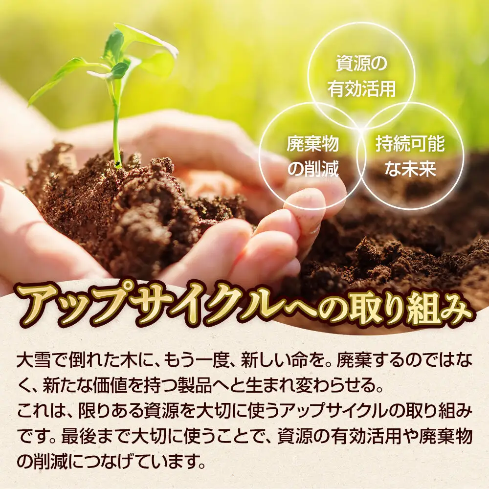 弘前公園の木で作ったボールペン・シャープペンシルセット【桜】各1本 数量限定 青森県 弘前市