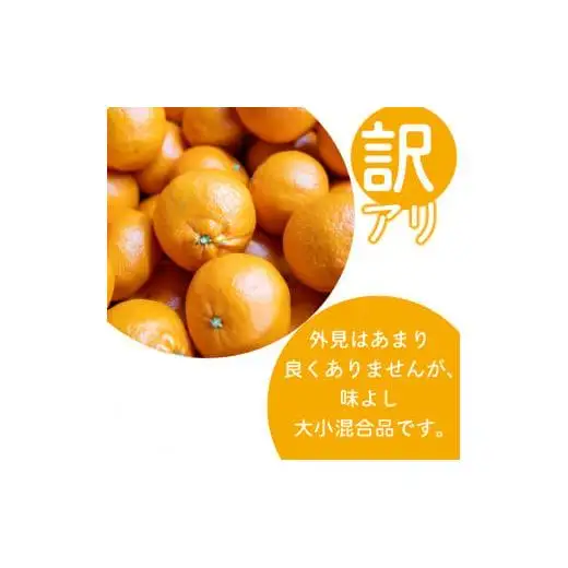 【2027年1月より発送】高知県産 立目 ぽんかん みかん 柑橘  訳あり 10kg 特上品 贈答用大小混合品 KJS028