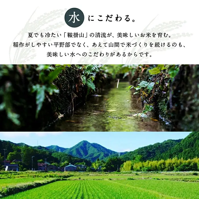 【6回定期便】令和8年産 新米 コシヒカリ 山里清流米  玄米 10kg ( 5kg × 2袋 ) × 6回 ジャパンファーム