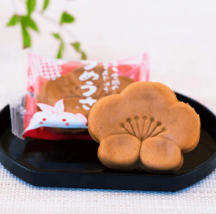 焼き 饅頭 「うめうさ」10個入り もっちり生地と上品なこしあんの和菓子 有田銘菓【梅義】(B1201-1)