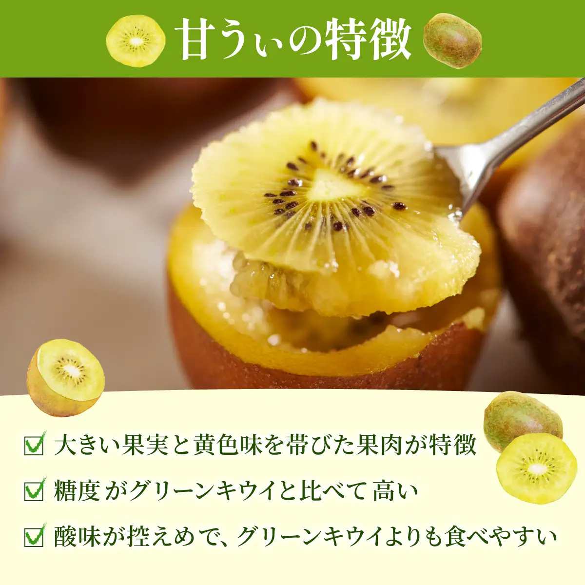 福岡産ブランド キウイ 甘うぃ 約1.5kg（10月下旬より発送）