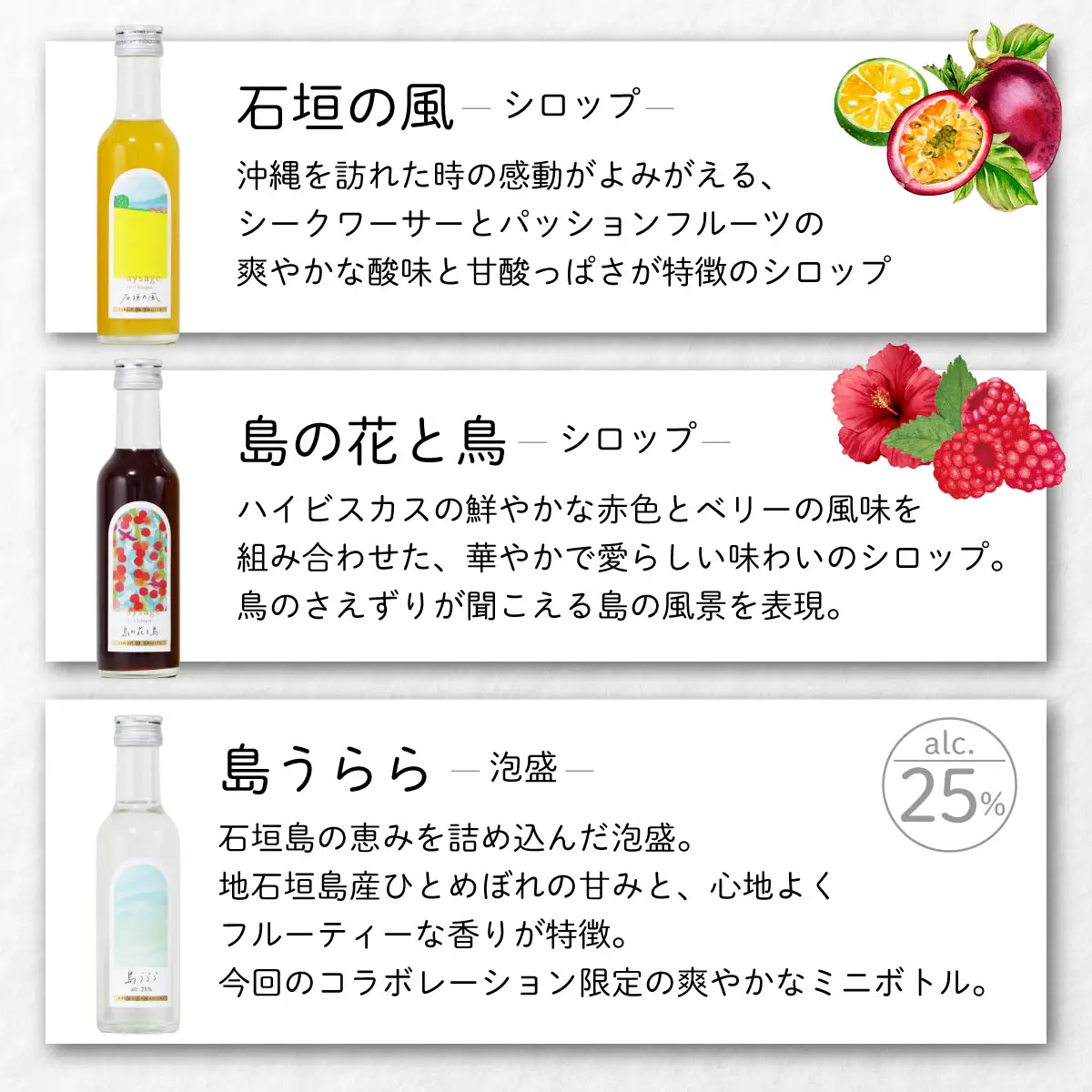 Paysage 3本セット