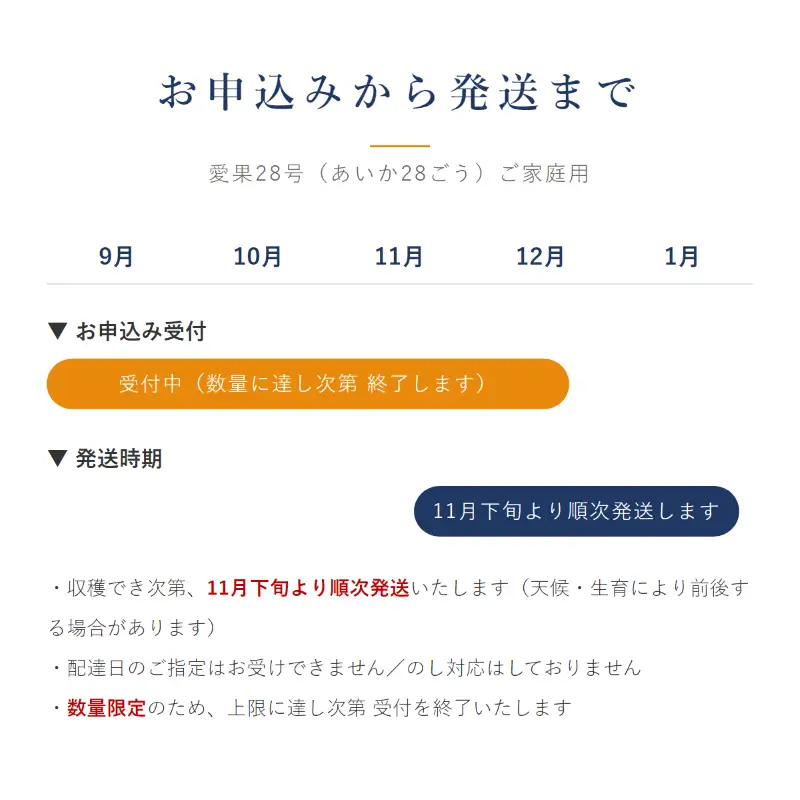 愛果28号 ( 紅まどんな と同品種 ) 家庭用 約3kg 【2026年11月下旬より順次発送】【VRS004】