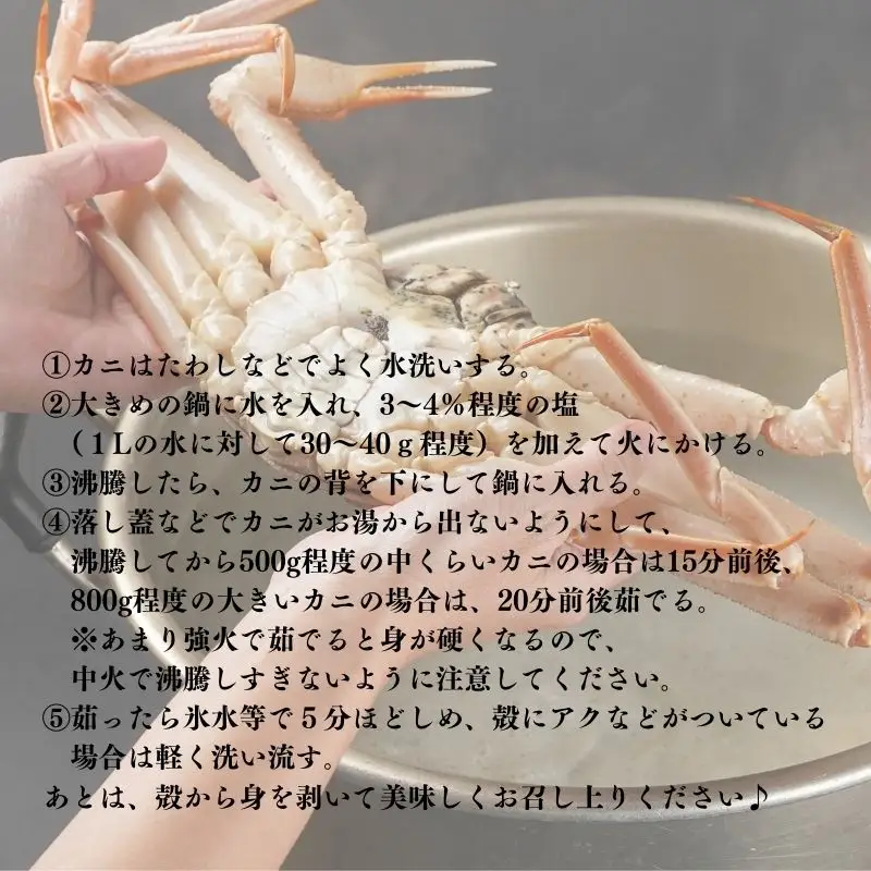 〈期間限定〉生 本ズワイガニ 500g以上×2杯 計1kg以上 姿 生きたまま発送 生蟹 糸魚川産 鮮度抜群！獲れたて直送 ずわいがに かに 蟹 ヒスイ水産 国産 日本海 新潟 新鮮 タグ付き 11月から漁開始 ギフトにも おススメ カニ ヒスイ蟹