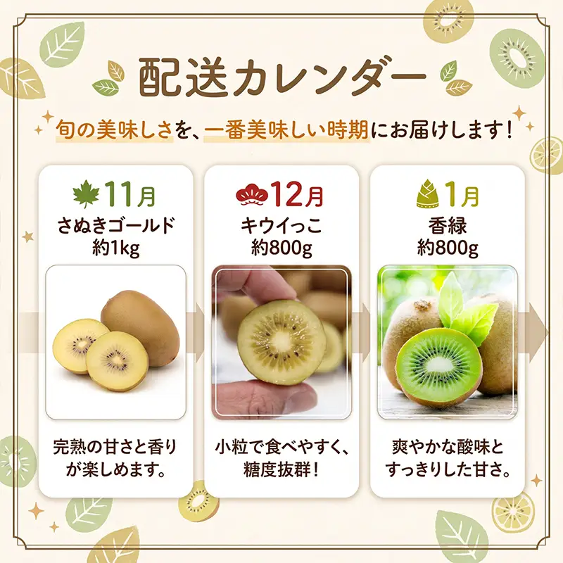 キウイ 定期便3回 ゴールド キウイ