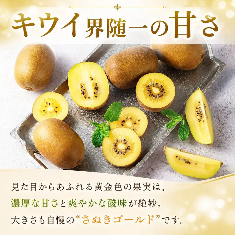フルーツ 定期便 3回 キウイ ゴールドキウイ