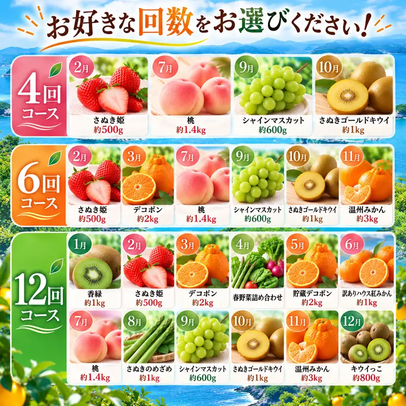 【12回】フルーツ定期便 旬のフルーツ