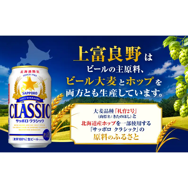 【北海道限定】サッポロクラシック 500ml×24本 サッポロビール クラシック ビール 缶ビール 生ビール お酒 贈答 ギフト プレゼント 上富良野町