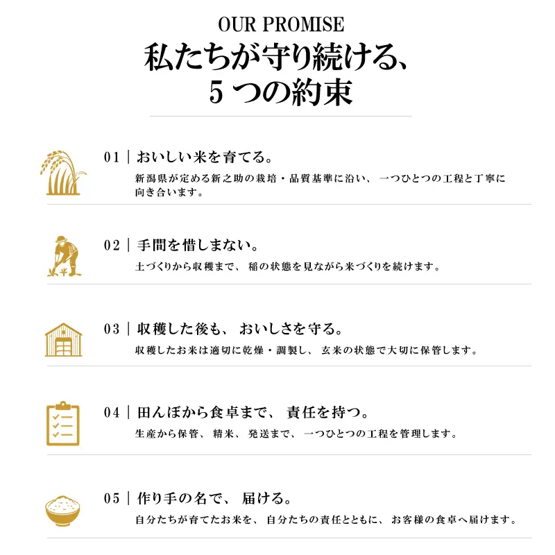 令和8年 新米 新潟県上越市産 穂希 みずほの輝き 4kg(2kg×2） 精米 株式会社MSD