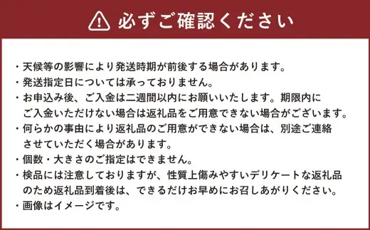 【 会津の恵み 】 しらい農園厳選！ 旬のりんご 2種食べ比べセット 約3kg （ 8 ～ 11玉 ） 産地直送でお届け 果物 フルーツ 果実 果汁 果肉 国産 福島県産 詰め合わせ 秋映 シナノゴールド ジョナゴールド 王林 光徳 早生ふじ サンふじ 紅こはく 【 2026年10月上旬から11月上旬発送予定 】