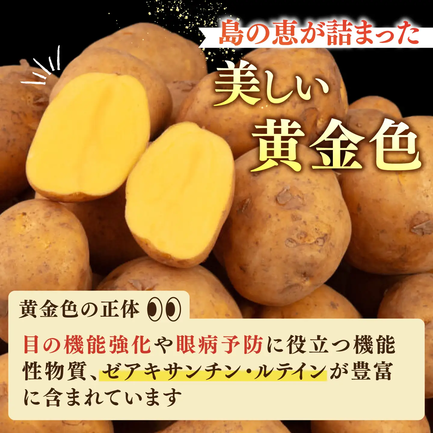 【先行予約】壱岐黄金じゃがいも 3kg [JBO167] じゃがいも