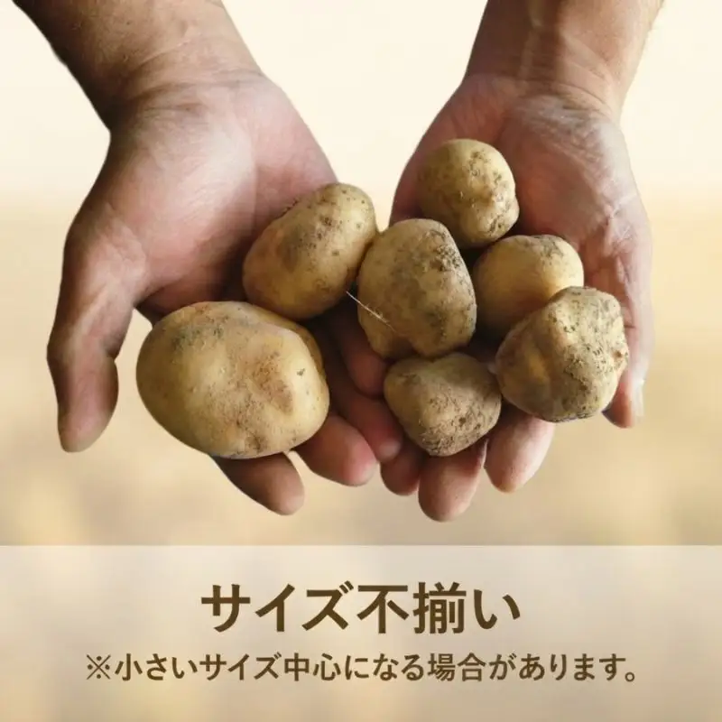 北海道産 訳あり じゃがいも 男爵  約9.3kg 不揃い サイズ不選別 ジャガイモ 馬鈴薯 ポテト 芋 いも 旬 冬 農作物 訳アリ 規格外 家庭用 北海道 お取り寄せ 産地直送 笠井ファーム 送料無料 幌加内