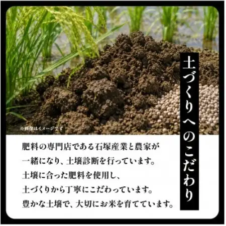 【毎月定期便】茨城県産 コシヒカリ 精米5kg | こしひかり 茨城県かすみがうら市全12回【4094323】