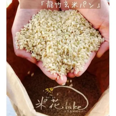 玄米丸ごと　玄米食パン　レーズン食パンセット　小麦粉、乳製品、卵、白砂糖一切不使用　グルテンフリー【配送不可地域：離島】【1787260】