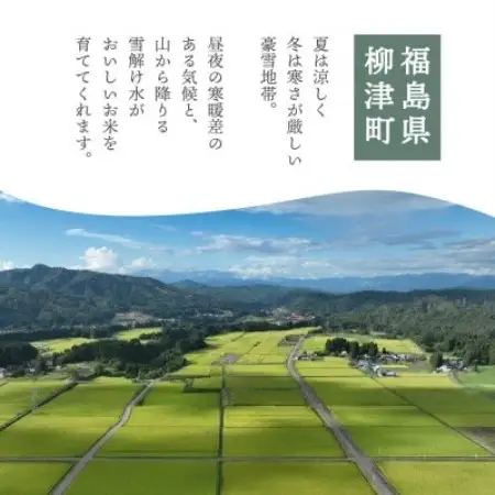 【農家直送!】福島県 会津 柳津町産 の大粒米「ゆうだい21」10kg【令和9年2月下旬より発送分】【1789602】