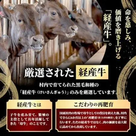 やんばるの自然が育んだ「黒毛和牛 経産牛」ハンバーグ 100g×5個【配送不可地域：離島】【1784632】