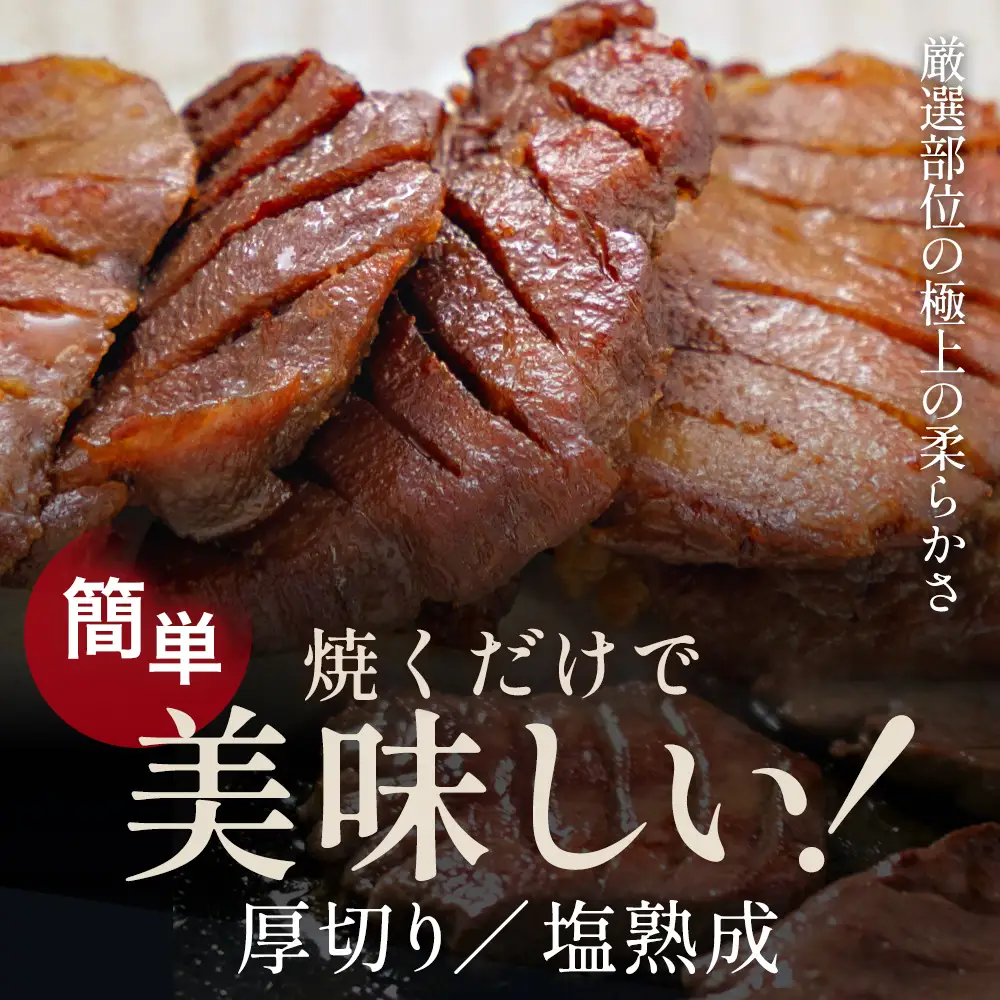 お試しサイズ！厚切り牛たん（塩）・JAPAN X豚肉　全3種セット　【04301-1100】