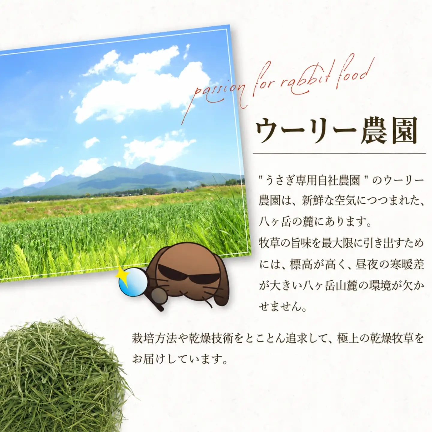 【うさぎ用 国産牧草】WOOLY ウーリー農園 イタリアンライグラス＆ティモシー ブレンド 400g×1袋 八ヶ岳産 ふるさと納税限定 数量限定 ペットフード うさぎ 牧草 ウサギ 餌 長野県富士見町