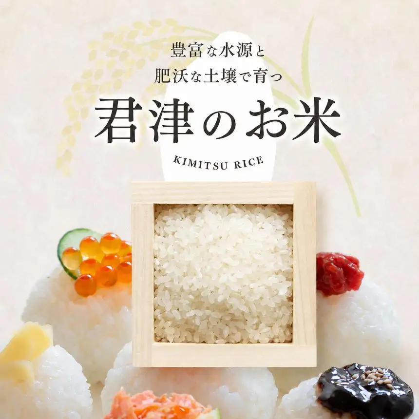 令和8年産 ミルキークイーン 10kg | 君津産 きくばり農園