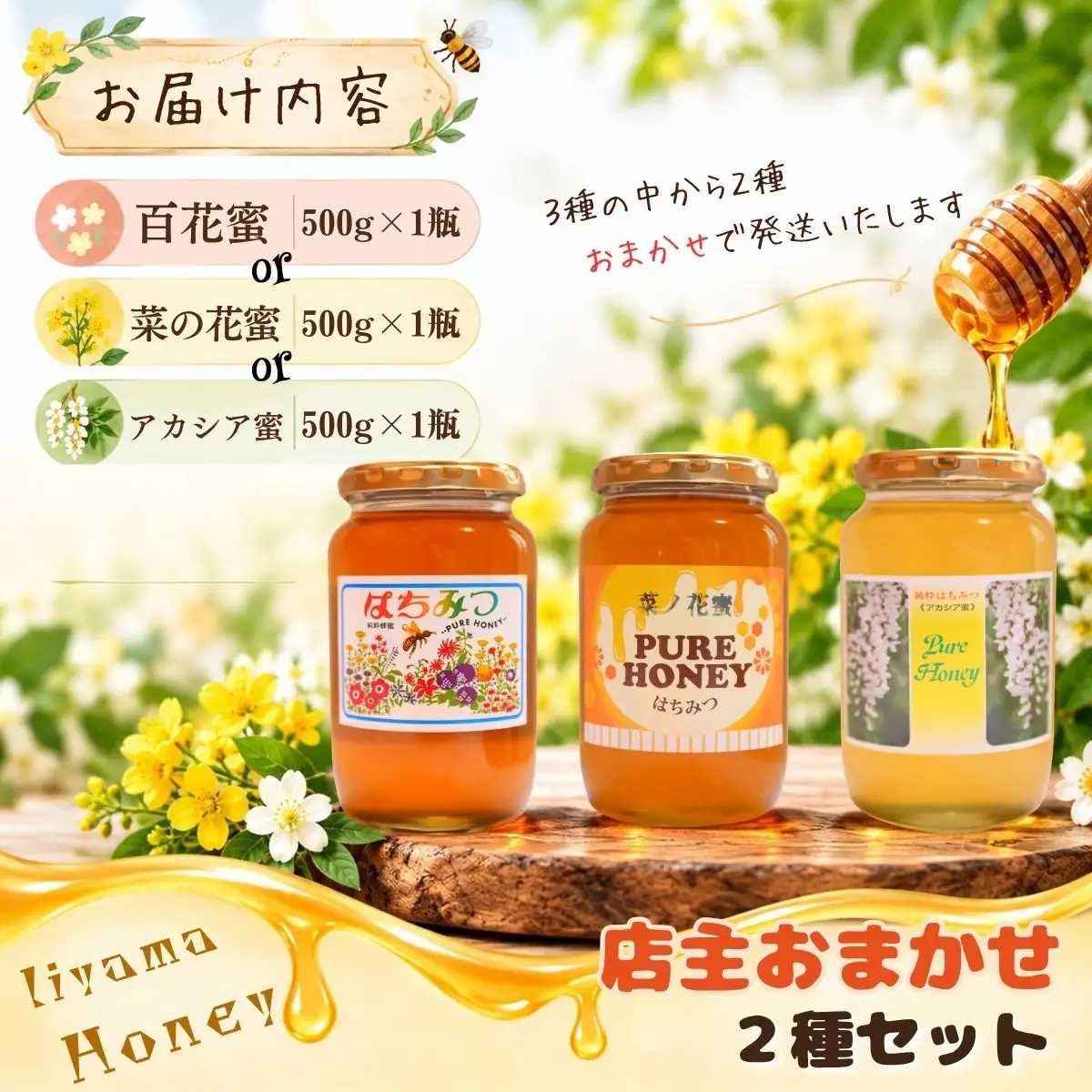 国産 天然 はちみつ 店主おまかせ 500g 2種セット《百花蜜・菜の花蜜・アカシア蜜より2種》 芳川養蜂場