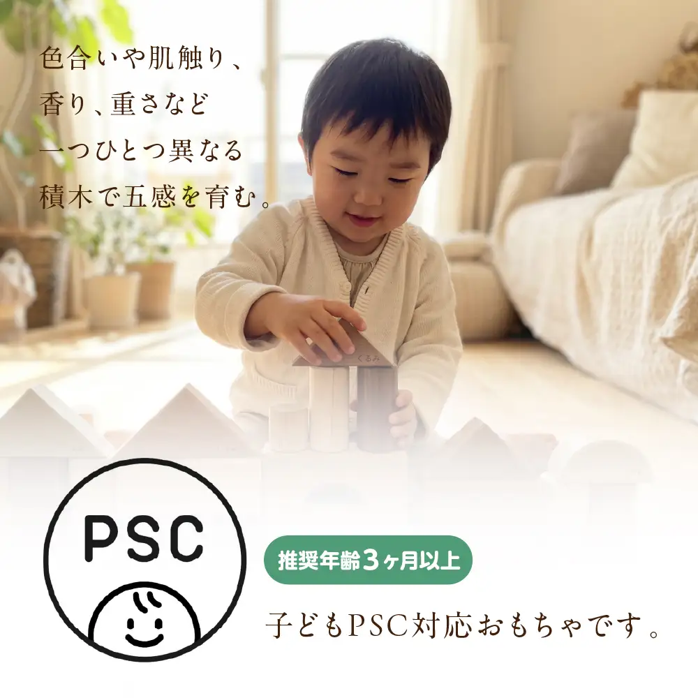 寄木の積木  | 積み木 つみき おもちゃ 玩具 木製 飛騨高山 国産 プレゼント 日本製 子供PSC対応 オークヴィレッジ AH325
