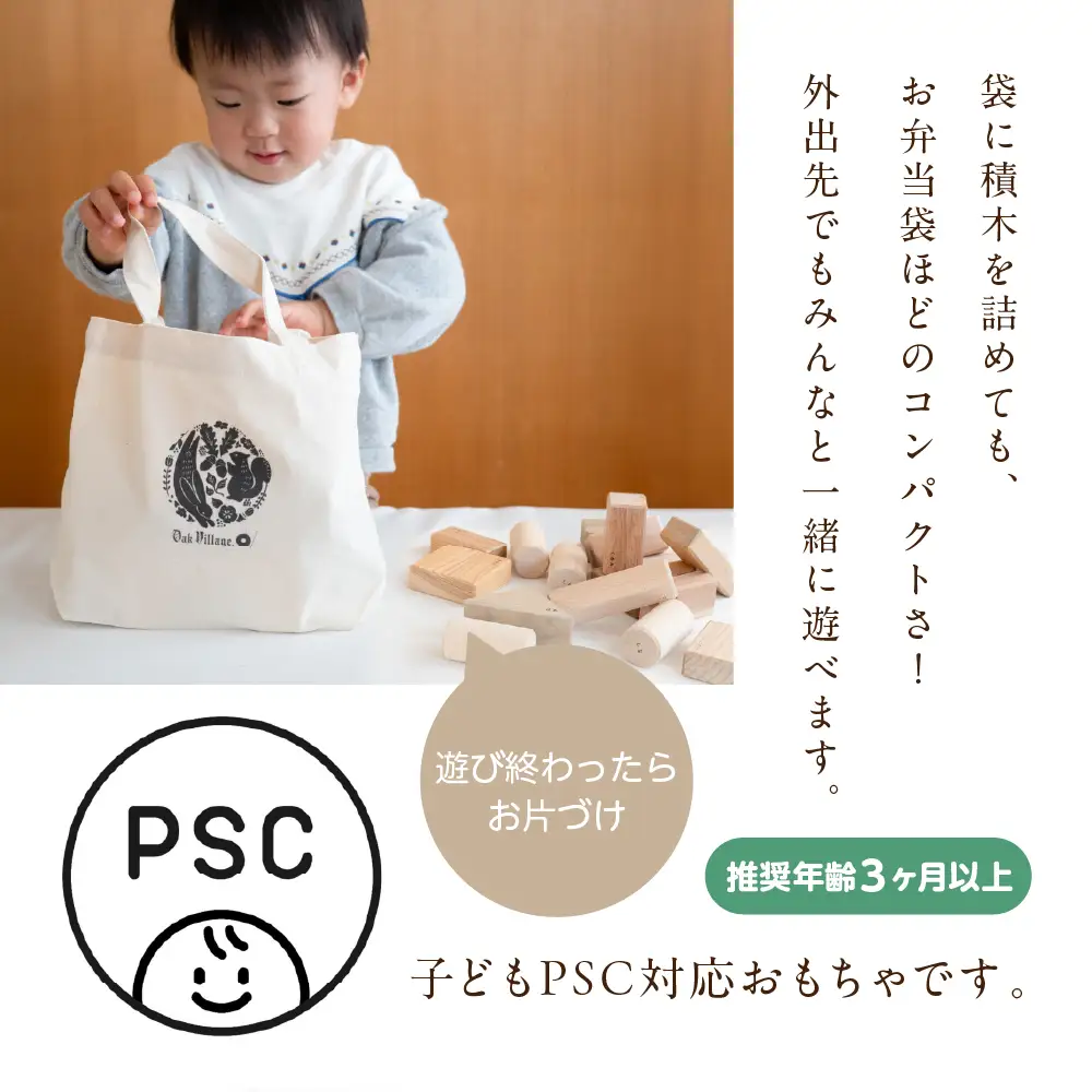 寄木の積木 ふくろ付き  | 積み木 つみき おもちゃ 玩具 木製 飛騨高山 国産 プレゼント 日本製 子供PSC対応 オークヴィレッジ AH326