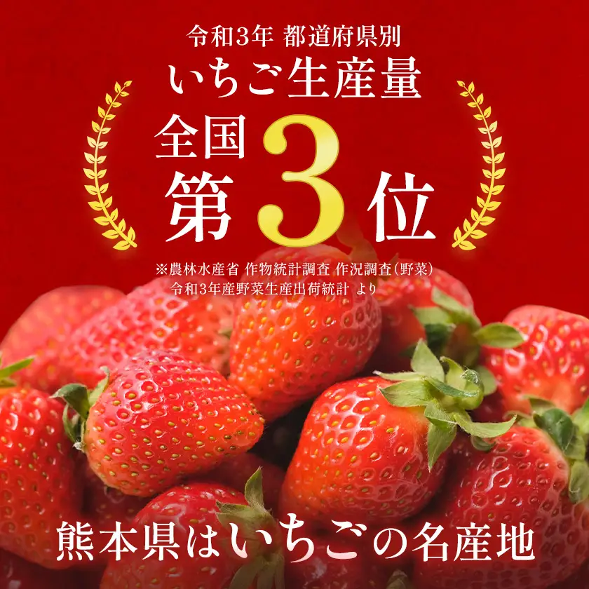 先行予約 熊本県産 いちご ゆうべに 約500g（約250g×2パック）