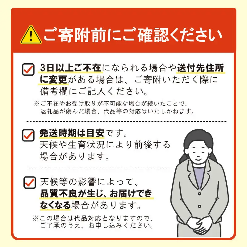 にんじん [金美人参] 約5kg にんじん