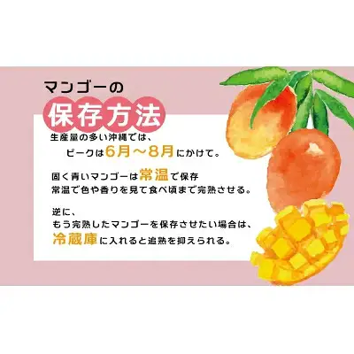 【先行受付】【2027年発送】渡口ファームの家庭用マンゴー約1.5kg - 先行予約 沖縄県産 産地直送 南国フルーツ 旬の味覚 季節の果物 ご自宅用 沖縄マンゴー 沖縄県 八重瀬町