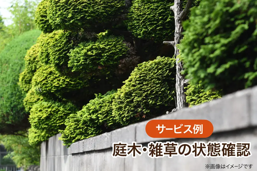 空き家 見回り 空き家管理サービス 代行チケット 年3回分