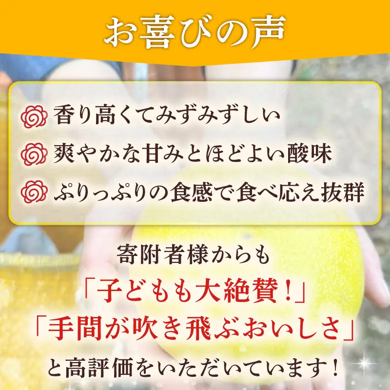 土佐文旦 服部農園 3Ⅼ 7個 HT0010