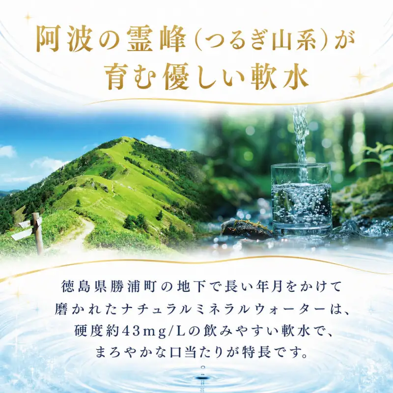 水 天然水 《 1ケース × 6ヶ月 定期便 》 お水 ミネラルウォーター