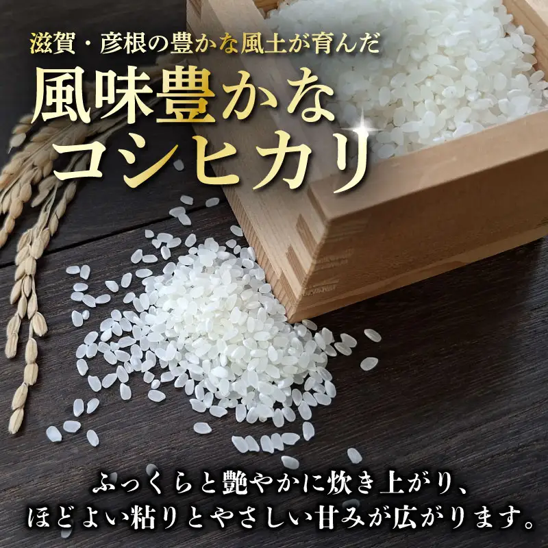 令和8年産 新米 コシヒカリ 5kg 精米 白米 滋賀 彦根