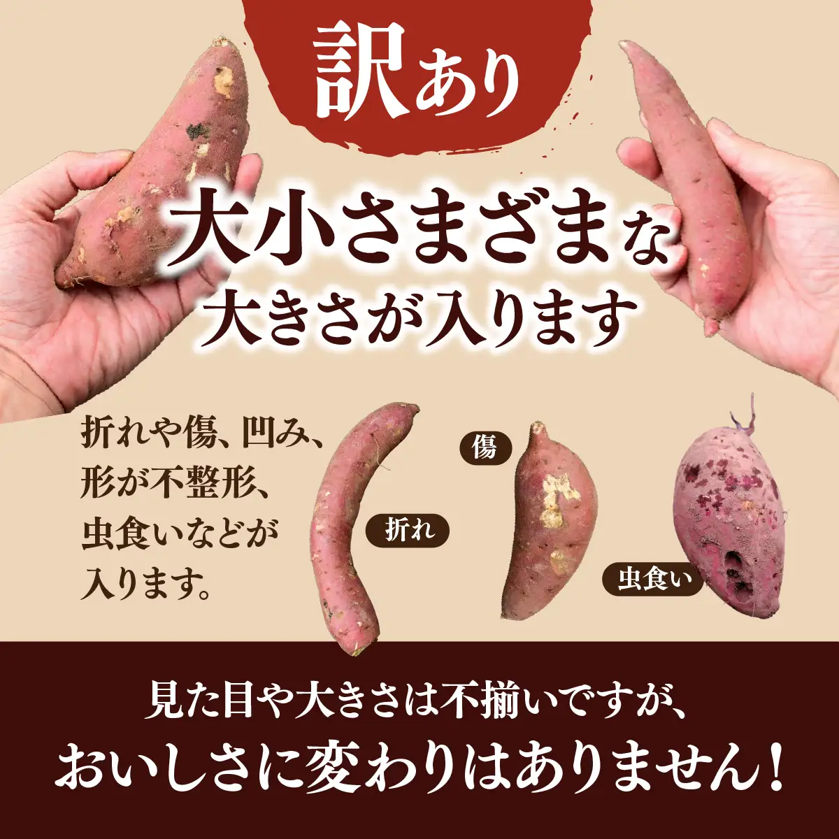 紅はるか【訳あり】長期熟成のさつまいも 5kg 扇屋商店｜紅はるか 国産 サツマイモ