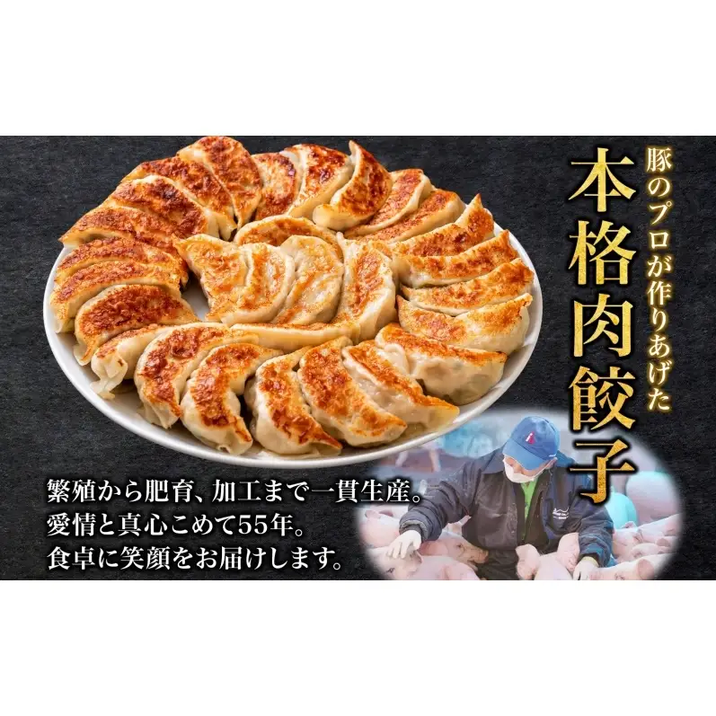 笑顔大吉ポーク 大吉肉餃子 12個入り×5パック 計60個 国産 豚肉 肉餃子 餃子 惣菜 おかず 中華 点心 晩酌 ご飯のお供 手軽 夕食 贈り物 ギフト ご当地 株式会社ヒラノ 千葉県 成田市