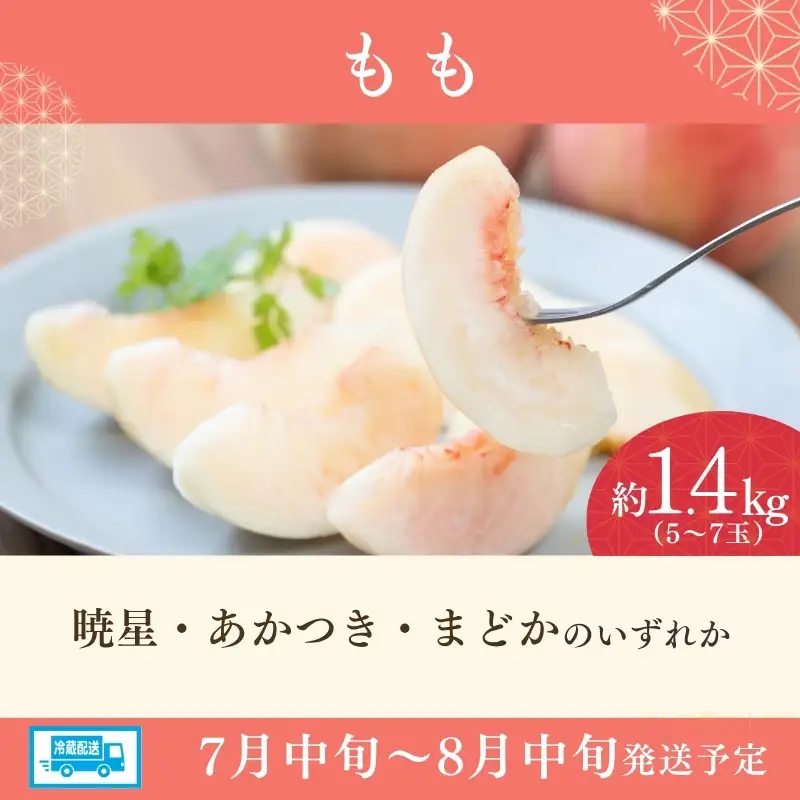 福島のフルーツ定期便_EF-1【2027年発送】No.3499