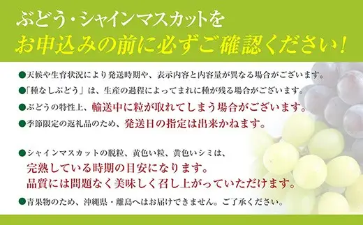 【2027年先行予約】【３回定期便】頬張る幸福感 ～緑の宝石・シャインマスカット～ 計３kg（1.0kg以上・2～3房を３回[9月上旬・中旬・下旬]お届け）※冷蔵発送※　シャイン シャインマスカット ぶどう 葡萄 ブドウ 定期便 ３回 果物 くだもの フルーツ 山梨 やまなし 富士川町 シャインだけ シャインマスカットだけ