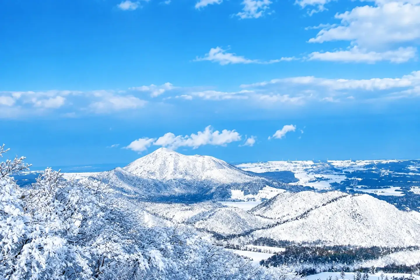 大山マウンテンリゾート　1日リフト券（大人） DM-01