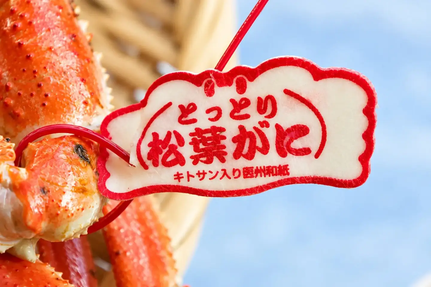 境港産ボイル松葉ガニ(タグ付き) SF-07
