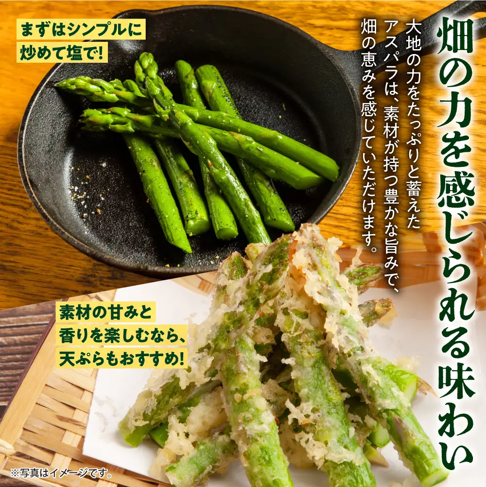 【先行予約】北海道産 アスパラ 900g【5月発送】｜ふるさと納税 野菜 アスパラガス 北海道 石狩市 
